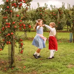 Dwie dziewczynki tańczą wśród niskopiennych drzewek owocowych uginających się pod ciężarem czerwonych jabłek.