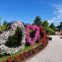 Trzy serca z kwiatów: białe, różowe i czerwone, ozdabiają park podczas festiwalu kwiatów.