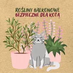 Uśmiechnięty kotek wśród roślin balkonowych bezpiecznych dla kota.
