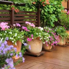 Jakie kwiaty na taras? Inspiracje i porady na piękny balkon