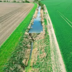 Widok z lotu ptaka na pole uprawne i zielone zboże, rozdzielone rowem melioracyjnym.