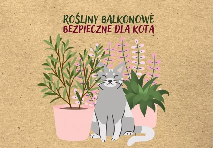 Uśmiechnięty kotek wśród roślin balkonowych bezpiecznych dla kota.