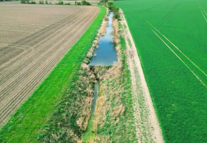 Widok z lotu ptaka na pole uprawne i zielone zboże, rozdzielone rowem melioracyjnym.