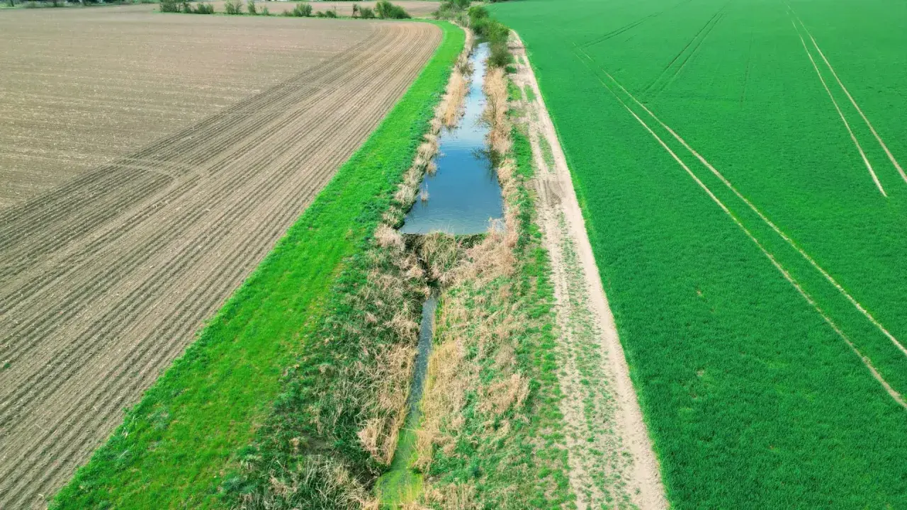 Widok z lotu ptaka na pole uprawne i zielone zboże, rozdzielone rowem melioracyjnym.